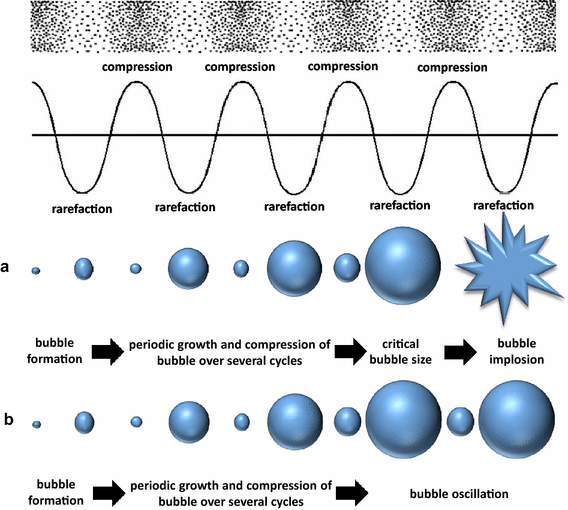 Figure 1 | Ultrasound Cavitation/Microbubble Detection and Medical Applications | SpringerLink